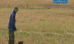 Hà Tĩnh: Nguy cơ thiếu nước sản xuất do nắng hạn kéo dài